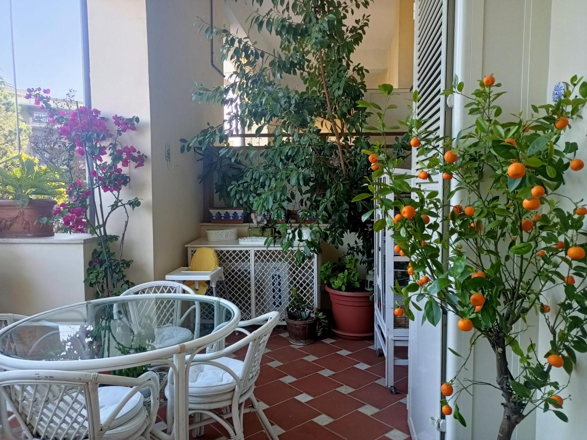 Apartment Le Terrazze Della Farnesina Policlinico Gemelli